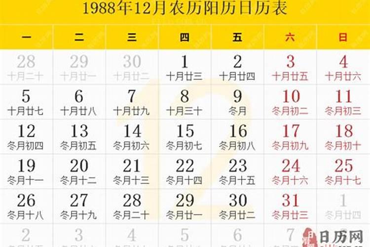 1988年12月16日阴历是哪天