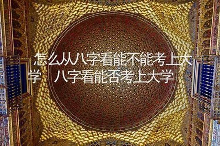 名牌大学八字特征