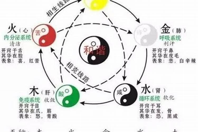 五行的运动关系包括哪些