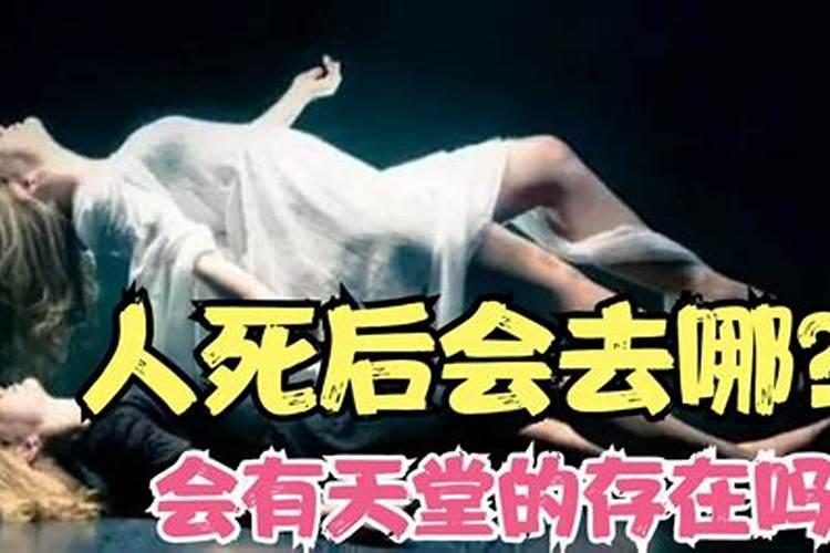 人死了以后会去到哪里