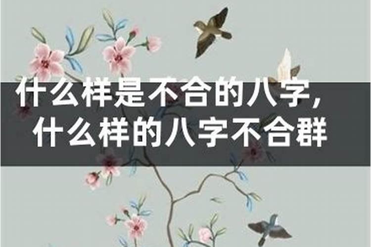 什么样的八字不合