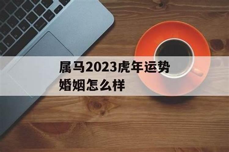 虎年属马的婚姻运势怎么样2022