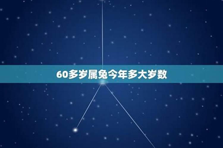 属兔人今年多大岁数啦