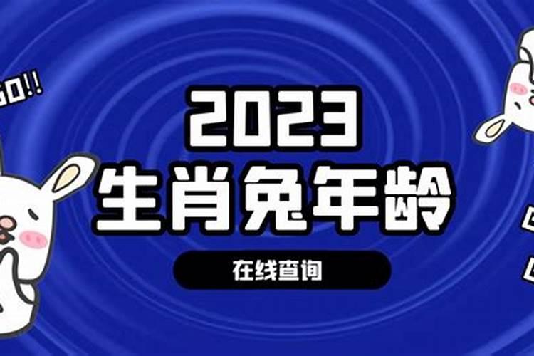 属兔人今年多大岁数啦