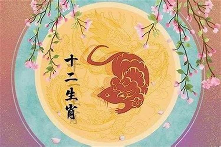 属猪的今年多大