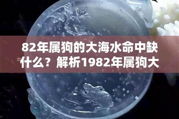 82年属狗是大海水命，为什么又说五行属土