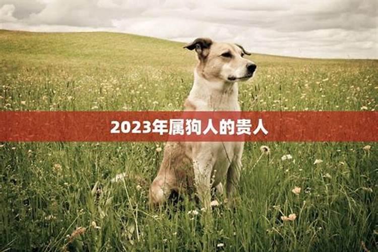 2023年属狗害什么太岁