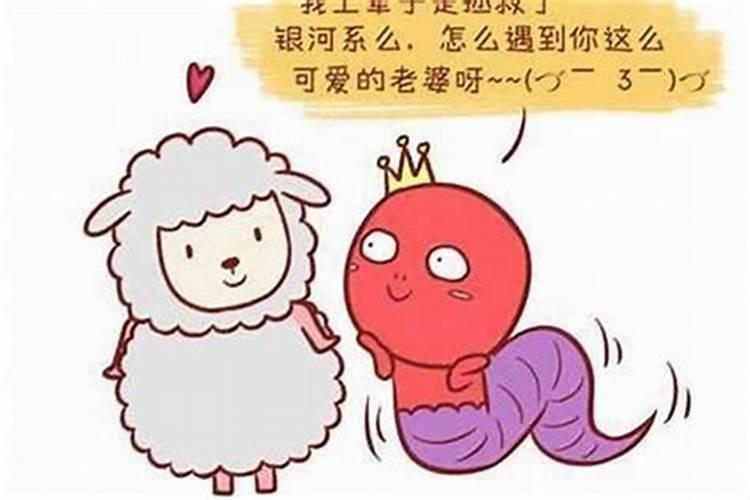 男属羊女属合婚吗