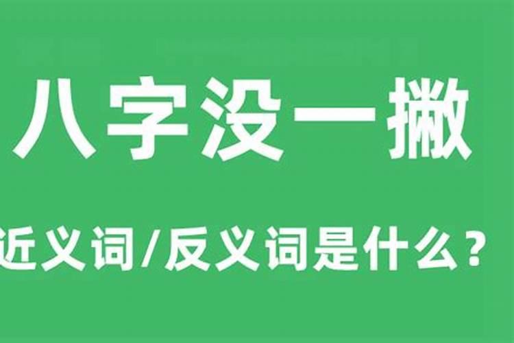 2020属马的人的幸运颜色是什么