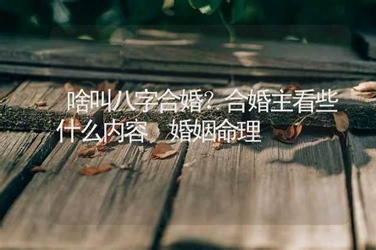 算命说主婚姻是什么意思