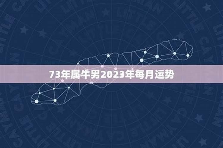 73年属牛男2023年有灾难吗