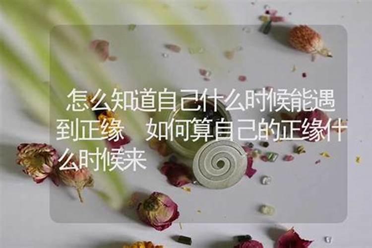 能不能算自己什么时候有孩子