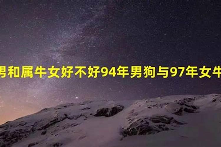 属兔的在2021年犯太岁吗为什么