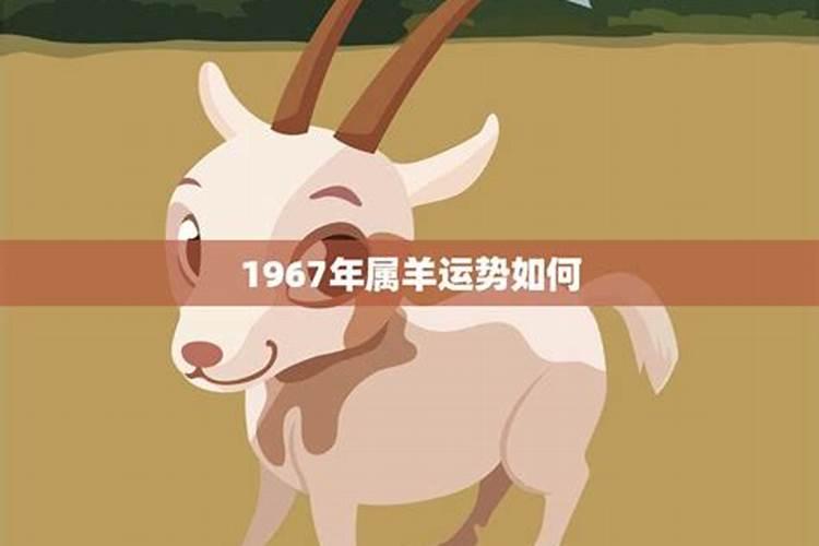 1967年属羊人的运势