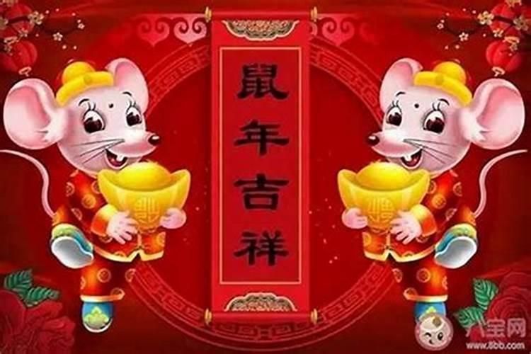 属鼠今年犯太岁吗2020年