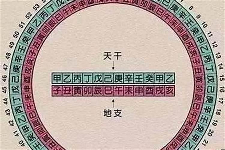 八字排盘日柱