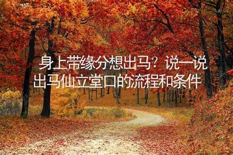 求师傅看看我的命格，希望解说得通俗、详细一点