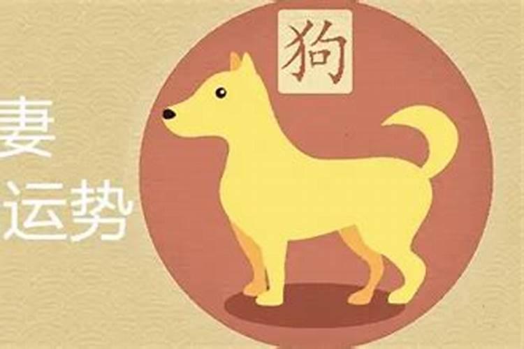 男马女犬属相适合婚配吗