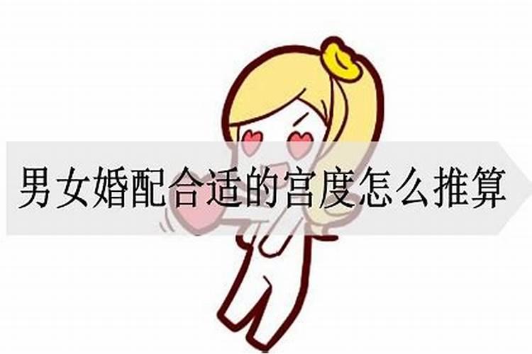 男女合婚宫位怎么配置？