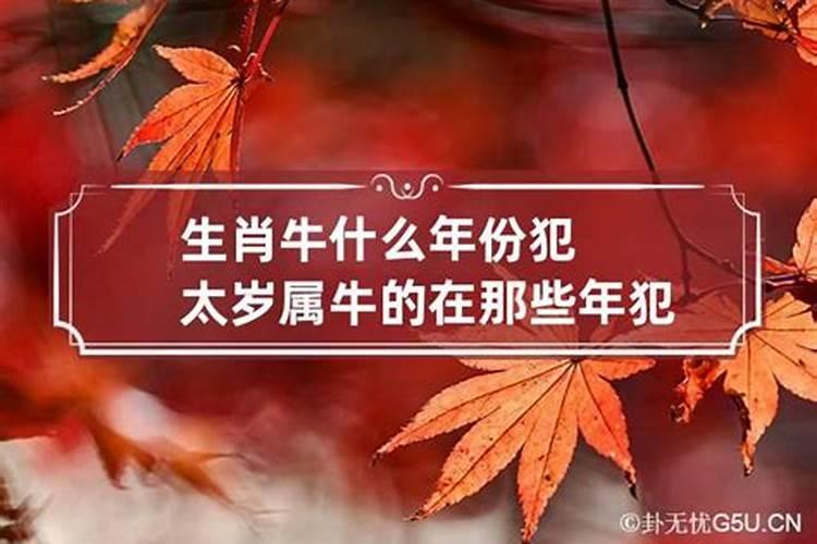 属牛的什么年份犯太岁