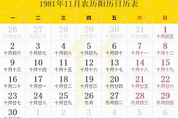 1985年农历二月十四出生男是什么命