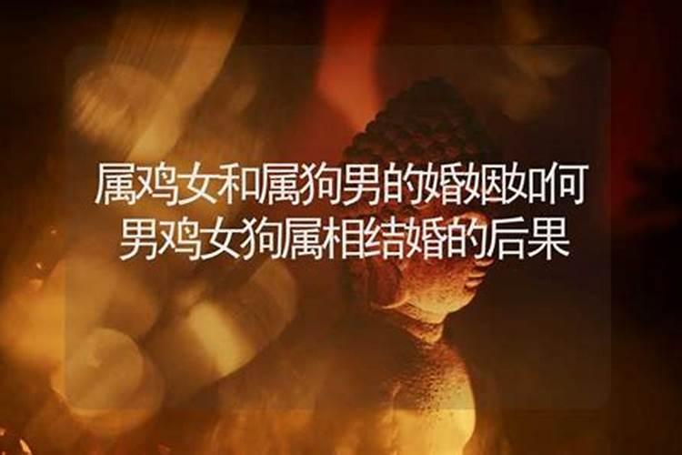 男鸡女狗婚姻不顺怎样