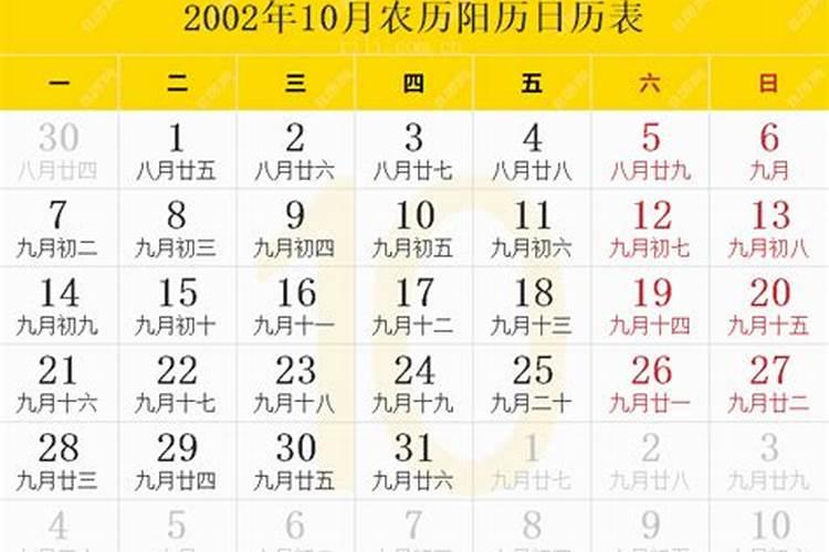 2002年农历10月19日生辰八字