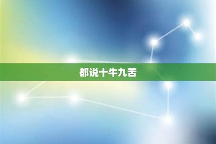 1985年属牛2023年全年运程