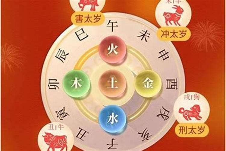 虎年今年犯太岁吗属什么