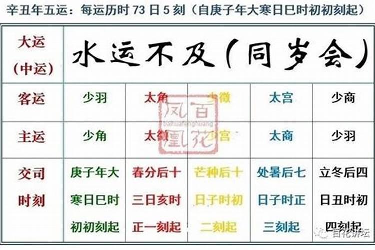 大运辛丑是什么意思