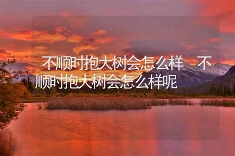 童子和替身有什么区别