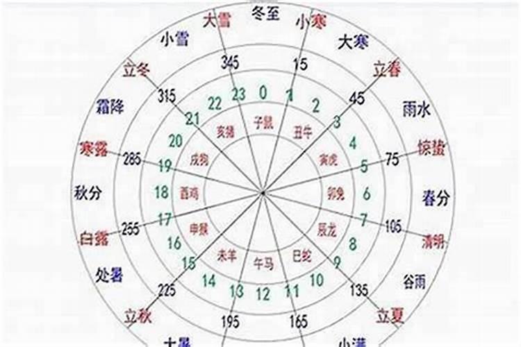 怎样看八字的旺衰