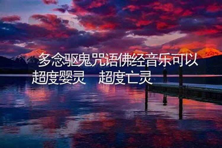 什么八字的人命苦最好