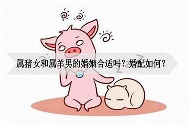 男属羊女属猪婚姻是否相配