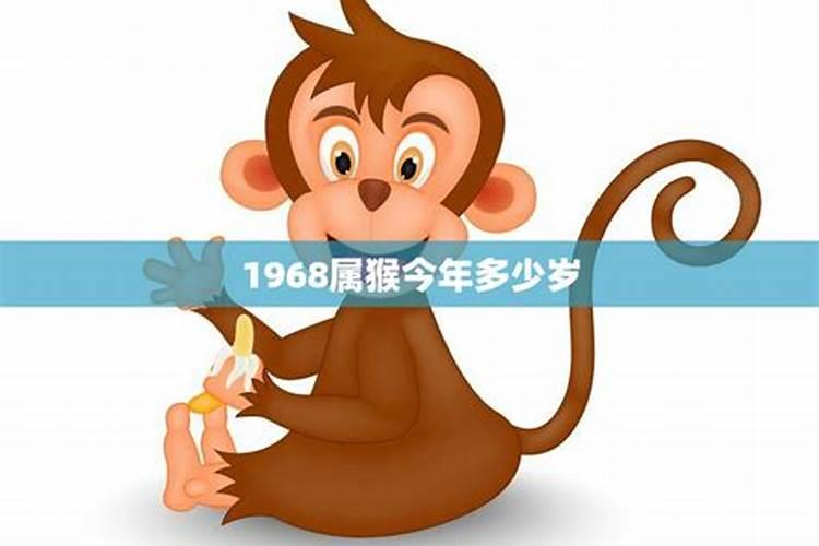 1968年的猴的寿命