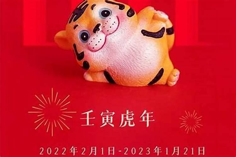 壬寅年出生的富贵八字2022