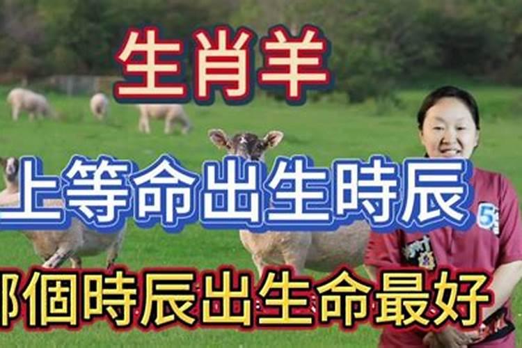 属羊人生于什么时辰好