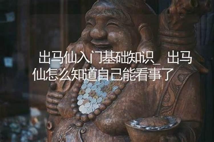 属鼠的人今年为啥这么倒霉