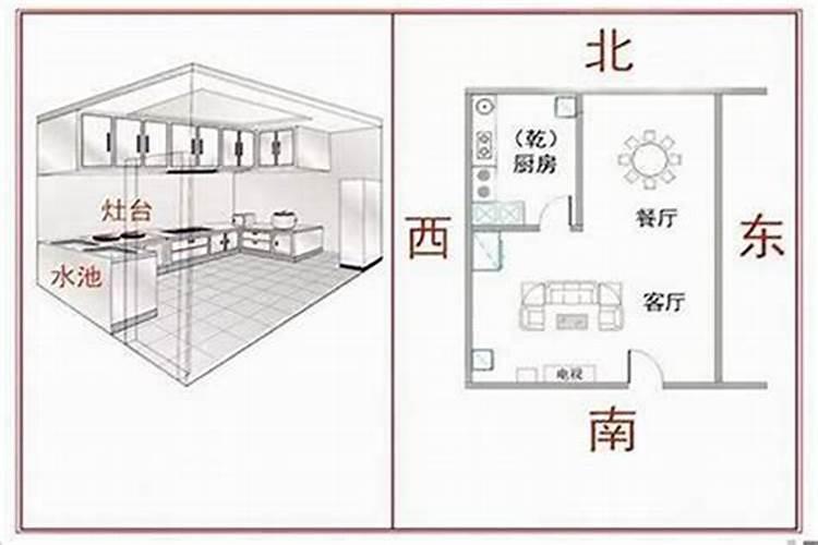 风水上不能养的花