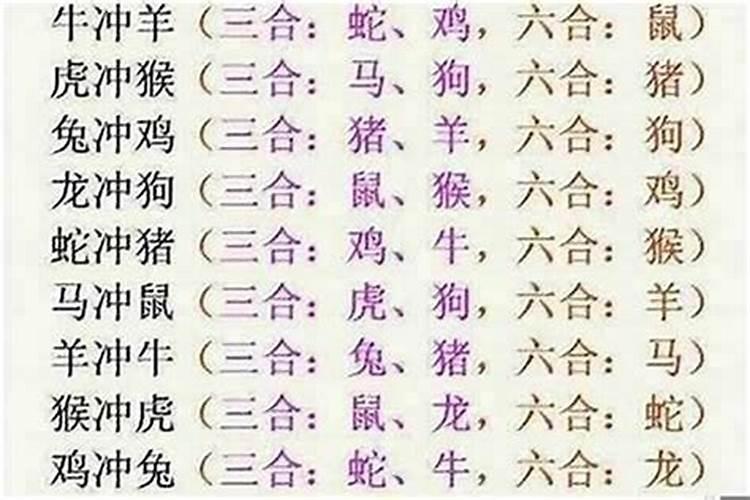 马生肖和兔生肖八字合吗