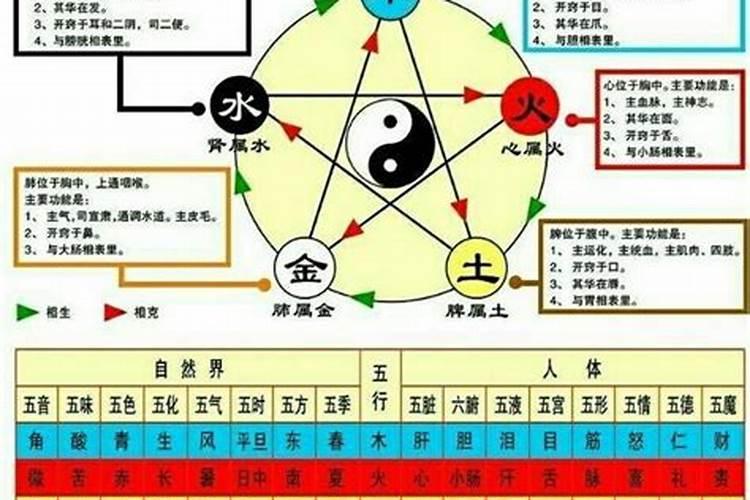 怎么查金木水火土五行查询表相生相克表