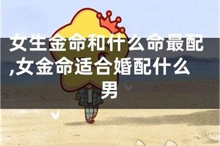 男金命女金命合婚吗