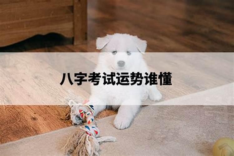 八字看适合发展的方向