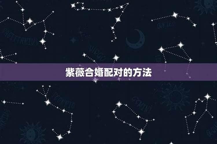 紫微斗数怎么合婚