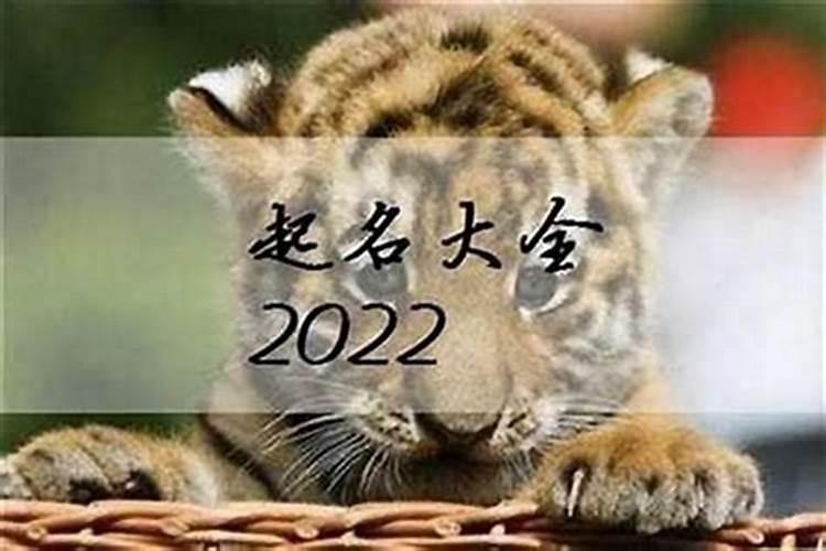 2022属虎的是什么太岁