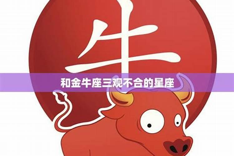 金牛和白羊座合不合