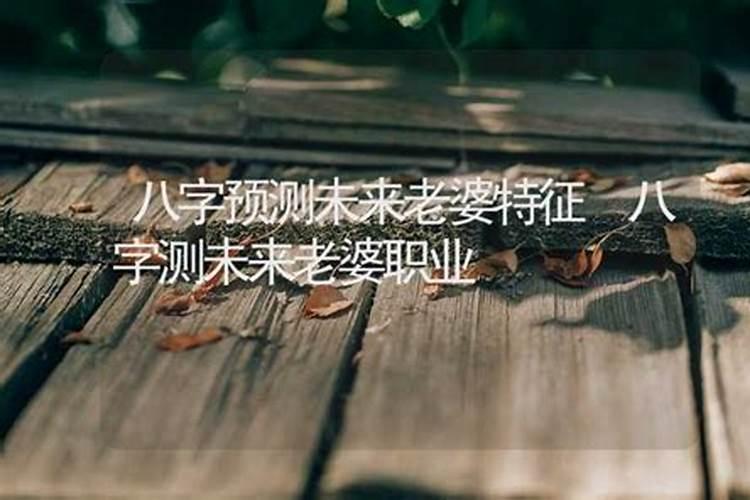 八字测试未来职业