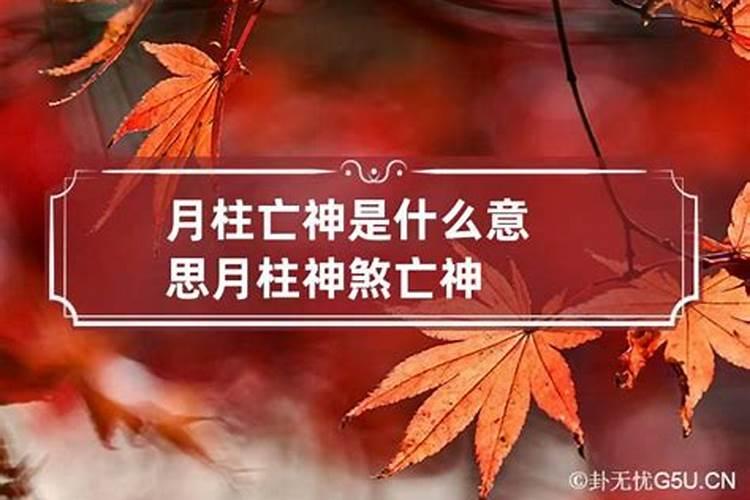 八字中亡神煞怎样找？