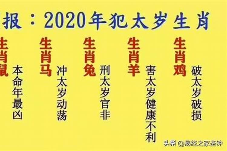 鼠年犯太岁的四个属相男人