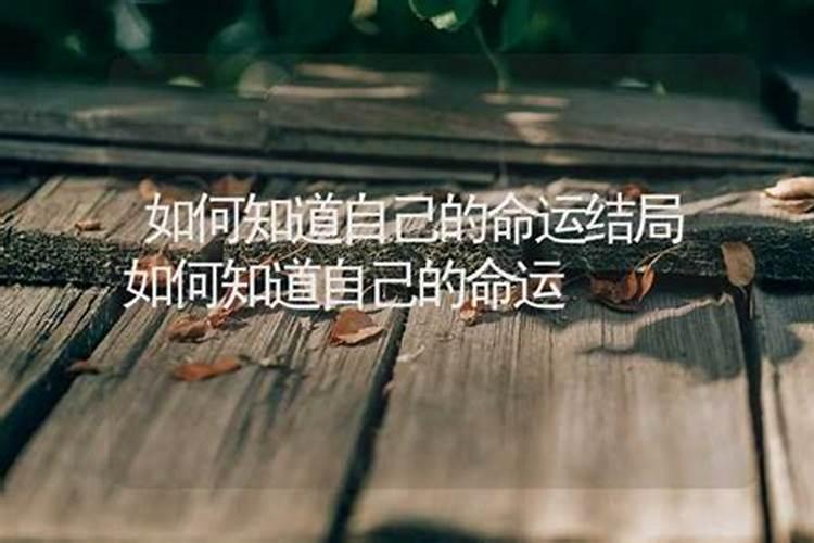 如何算出自己的命运